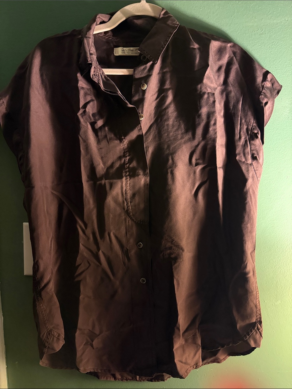Free People Dark Brown 100% silk Button-Down Shirt